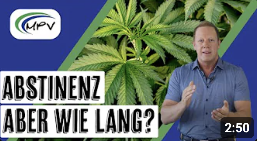 Video-Vorschaubild mit der Frage 'Abstinenz, aber wie lang?' und Markus Erl von der MPV GmbH, im Hintergrund ein Cannabisblatt.
