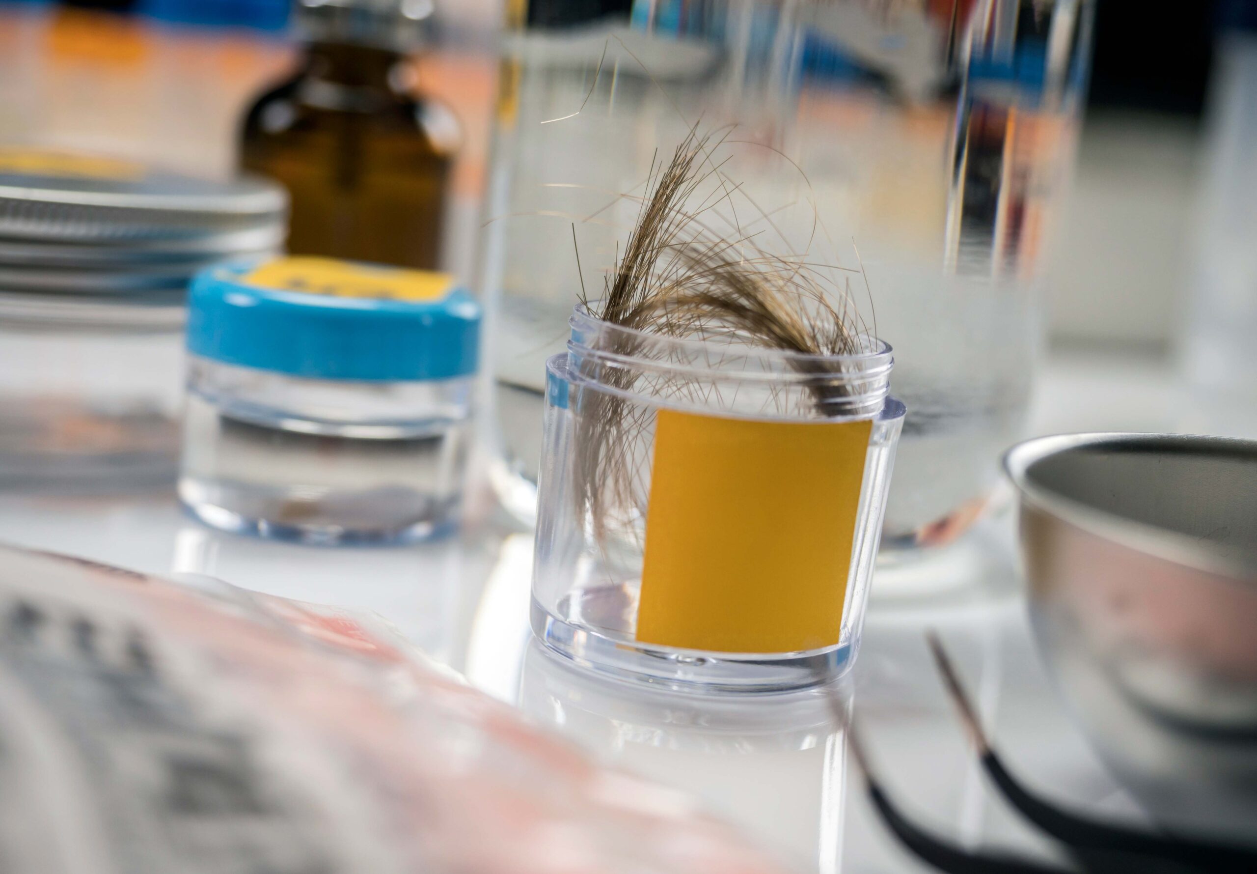 Haaranalyse als Abstinenznachweis für Alkohol im Rahmen der MPU-Vorbereitung bei der MPV GmbH